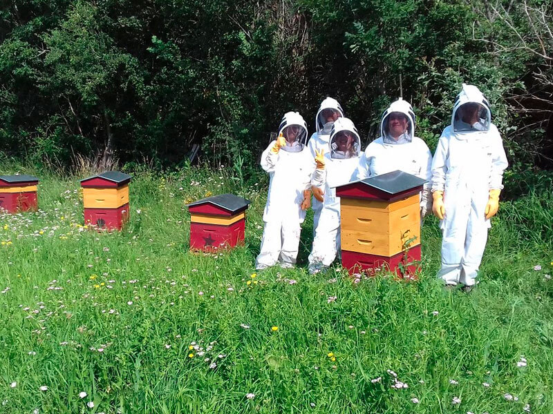 apiculture esat escolore