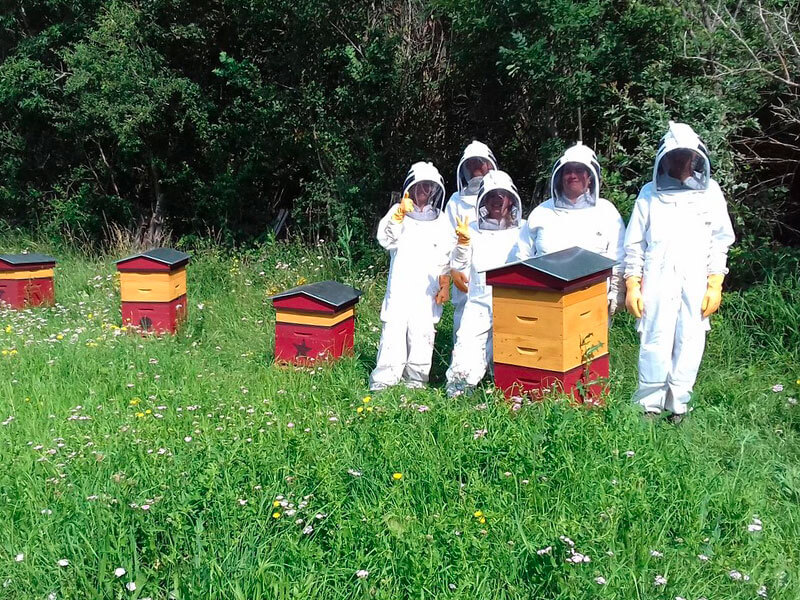 apiculture